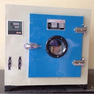 Tủ sấy 225 lít model 101-3A - Ảnh 2